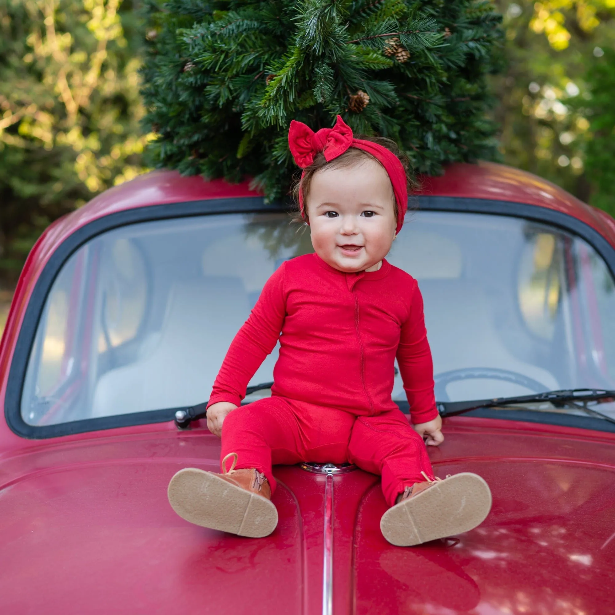 Cardinal Red Bow