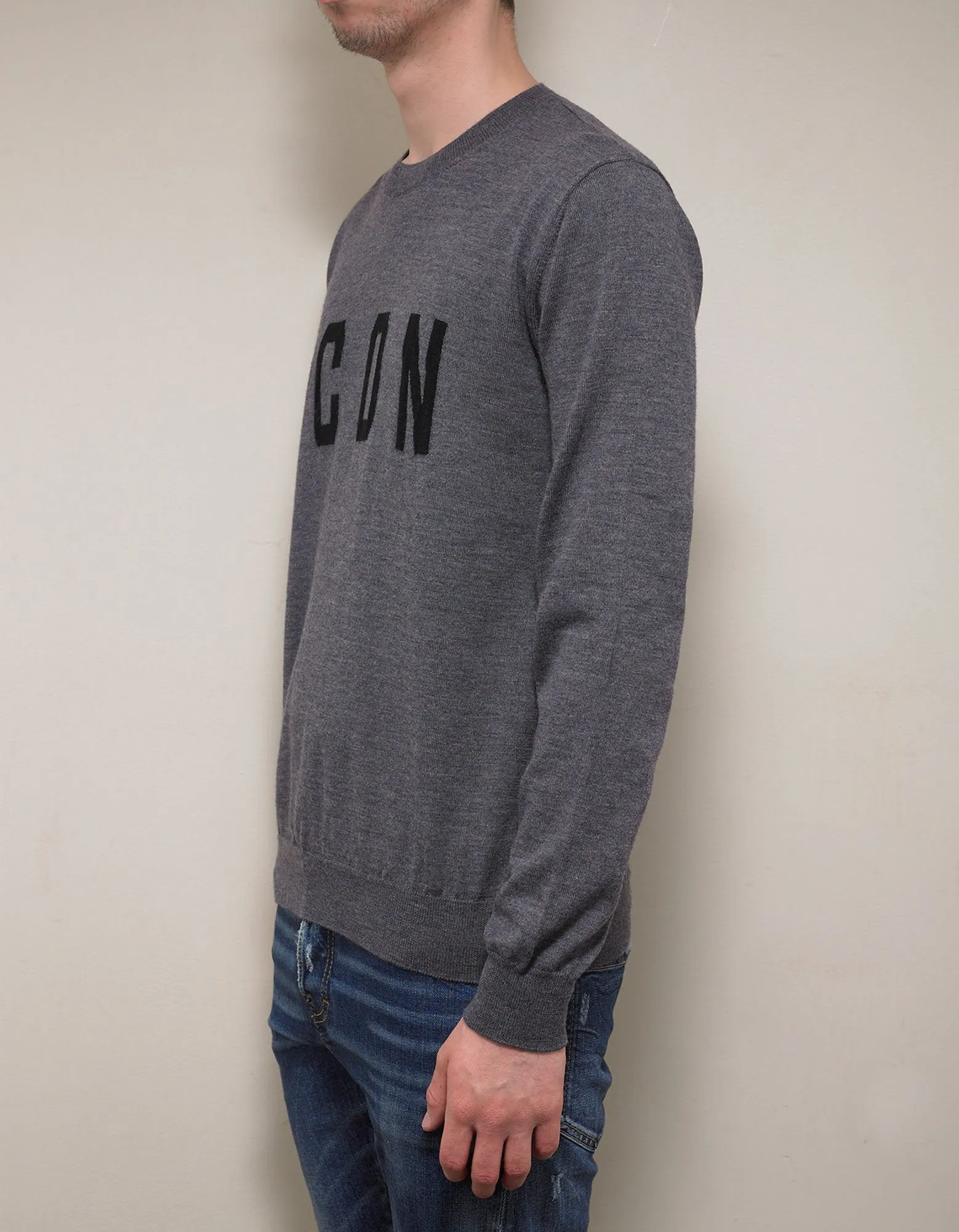 Gray Icon Jumper