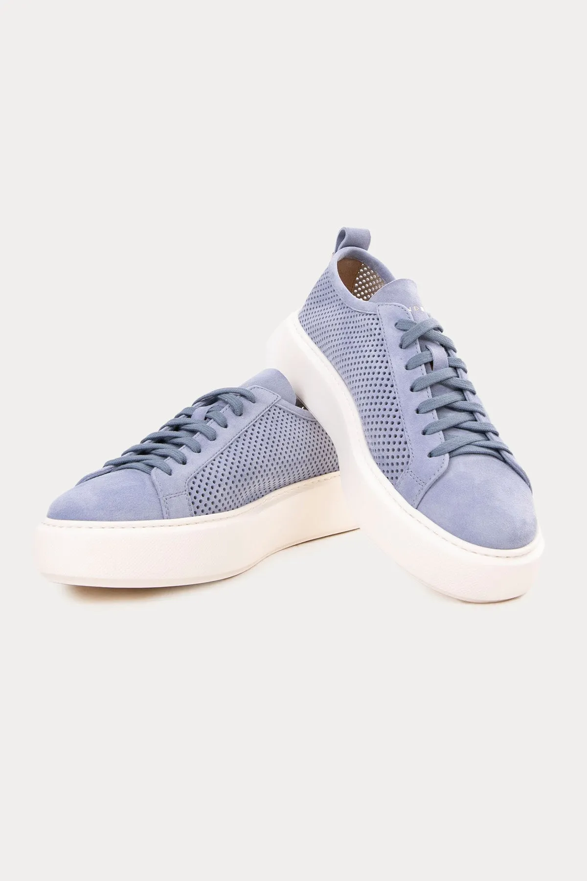 Henderson Aria Suede Sneaker Shoe