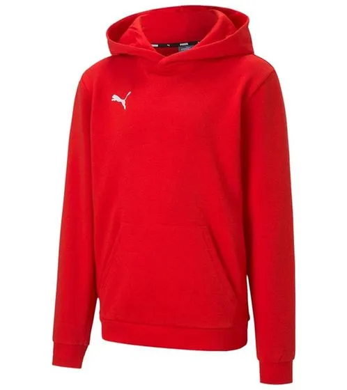 Pack of 3 PUMA teamGOAL 23 Casuals children's hoodies with kangaroo pocket, hooded sweater for young boys and girls 656711 