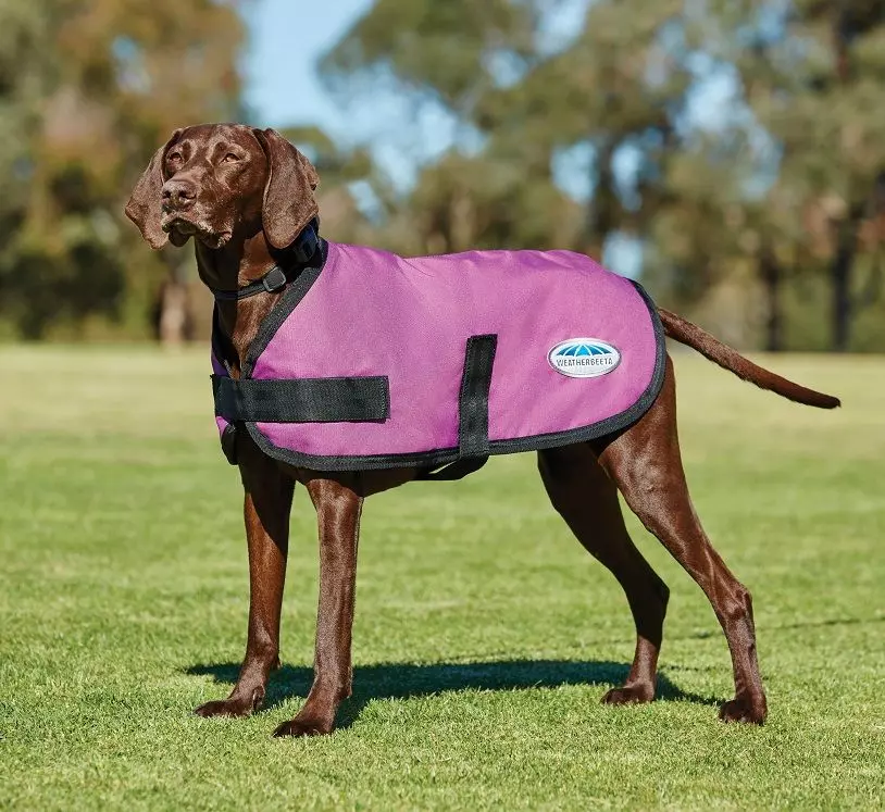 Weatherbeeta Dog Coat - Classic ParkaModelProperty: Comfitec