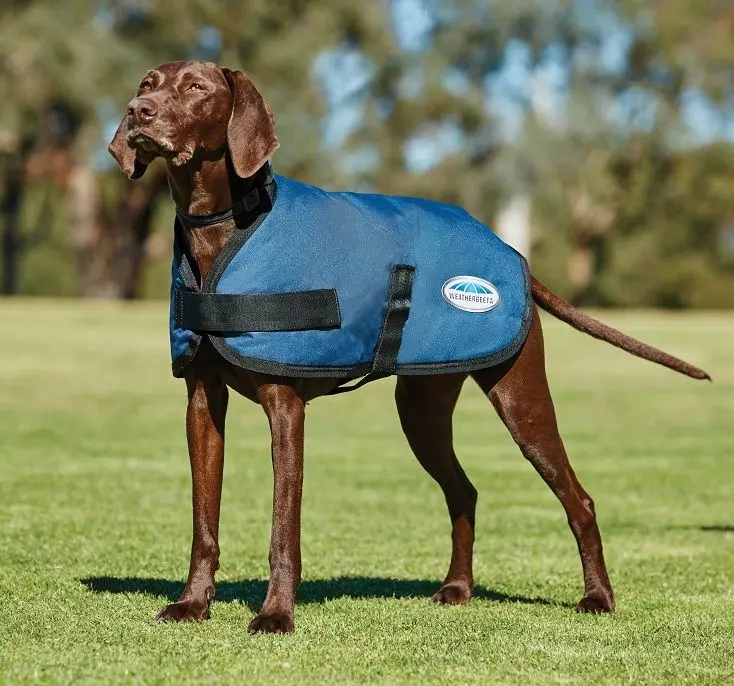 Weatherbeeta Dog Coat - Classic ParkaModelProperty: Comfitec