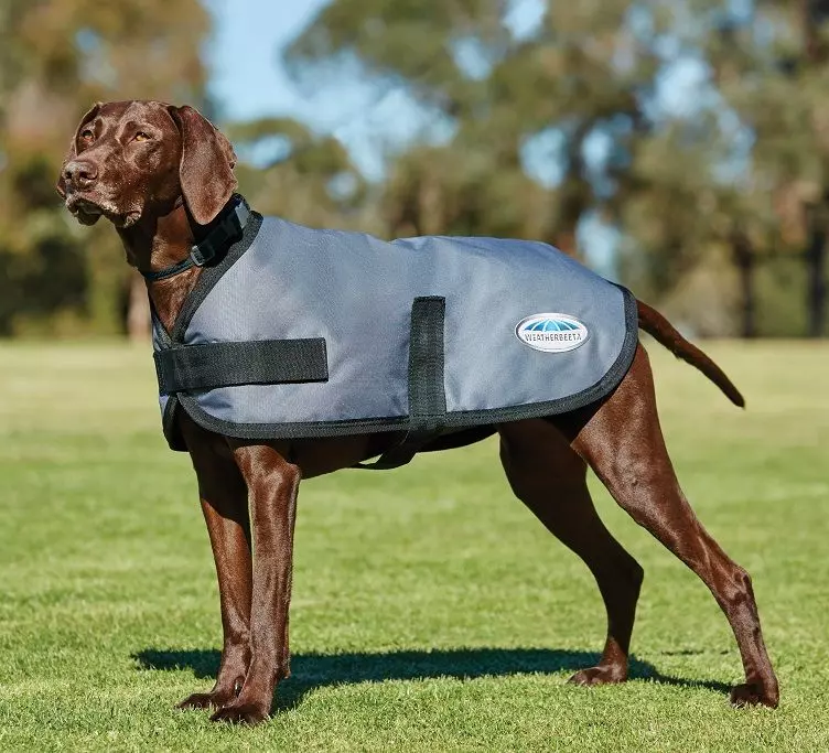 Weatherbeeta Dog Coat - Classic ParkaModelProperty: Comfitec